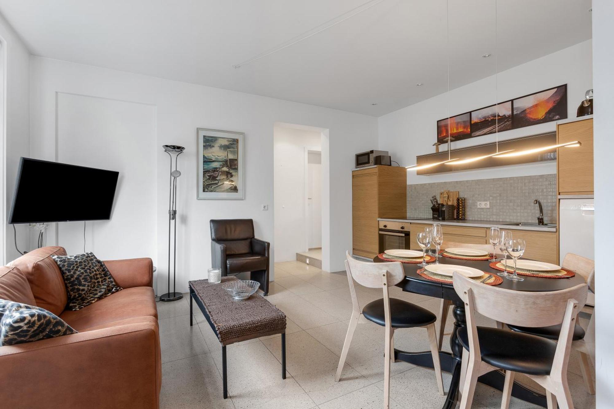 Luxury Apartment Central レイキャヴィーク エクステリア 写真